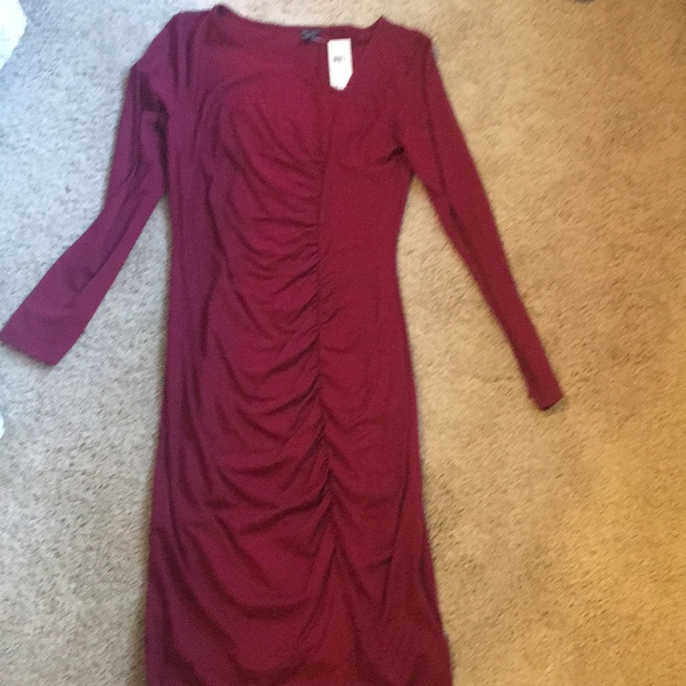 Wine colored, long sleeve dress from Ann Taylor.